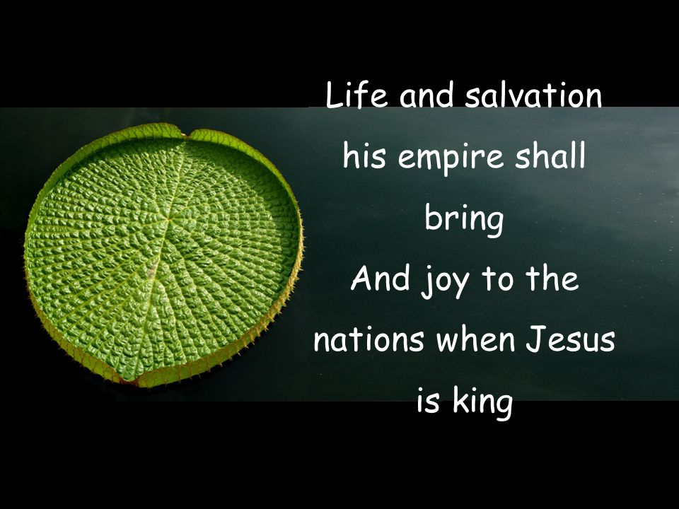 Life and salvation his empire shall bring And joy to the nations when Jesus is king