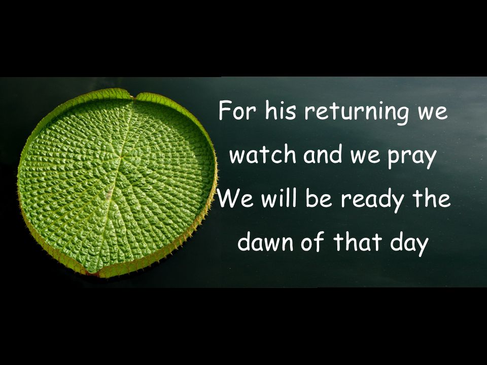 For his returning we watch and we pray We will be ready the dawn of that day