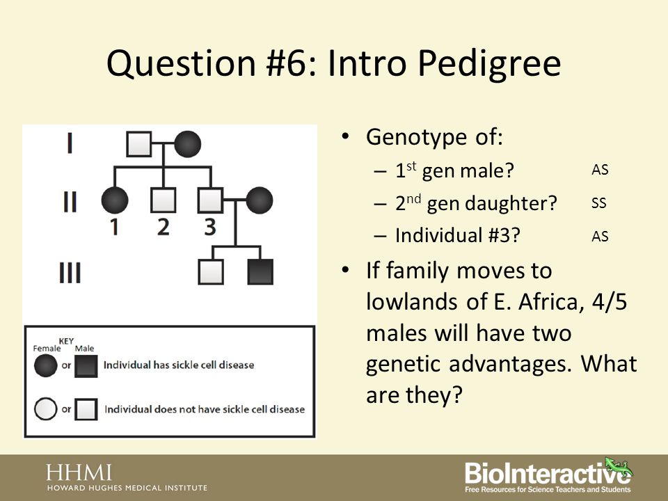 Free Classroom Resources From Hhmi For Teaching Evolution Part 2 Megan Stine June 19 Ppt Download Free Classroom Resources From Hhmi For Teaching Evolution Part 2 Megan Stine June 19 Ppt Download
