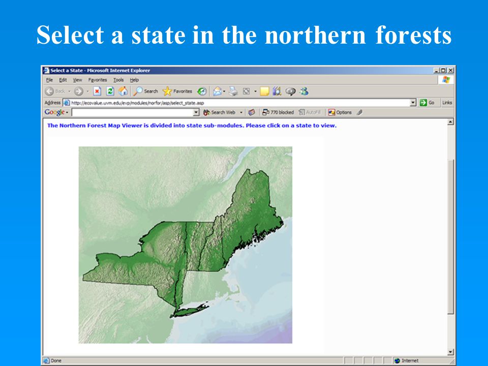 Select a state in the northern forests