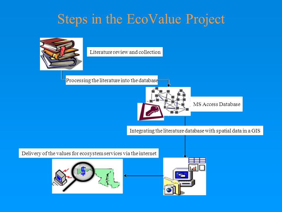 Steps in the EcoValue Project Literature review and collection Processing the literature into the database MS Access Database Integrating the literature database with spatial data in a GIS Delivery of the values for ecosystem services via the internet