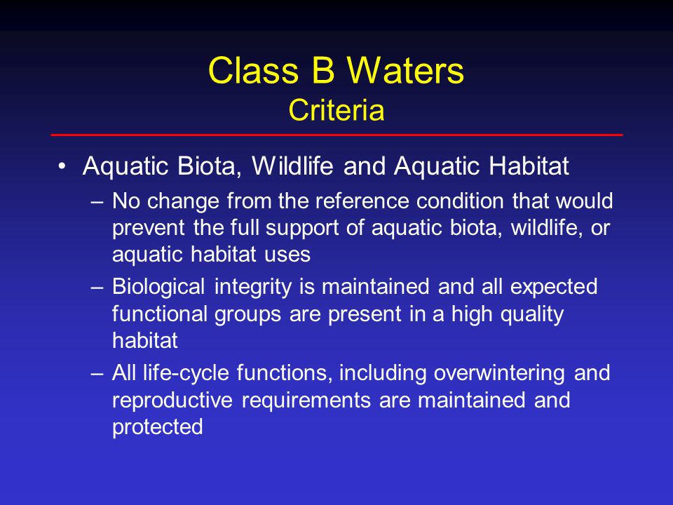 Class B Waters Criteria Aquatic Biota, Wildlife and Aquatic Habitat –No change from the reference condition that would prevent the full support of aquatic biota, wildlife, or aquatic habitat uses –Biological integrity is maintained and all expected functional groups are present in a high quality habitat –All life-cycle functions, including overwintering and reproductive requirements are maintained and protected
