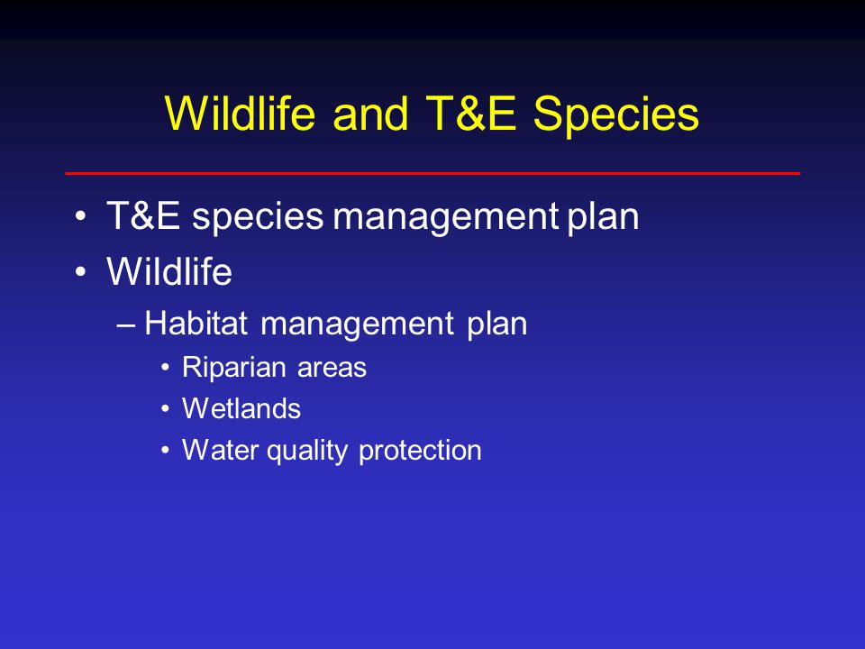 Wildlife and T&E Species T&E species management plan Wildlife –Habitat management plan Riparian areas Wetlands Water quality protection
