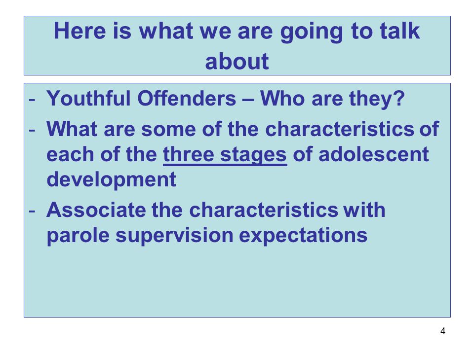 4 Here is what we are going to talk about -Youthful Offenders – Who are they.