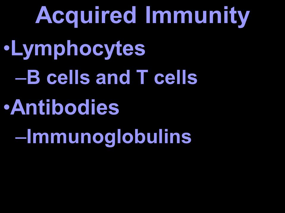 Acquired Immunity Lymphocytes –B cells and T cells Antibodies –Immunoglobulins