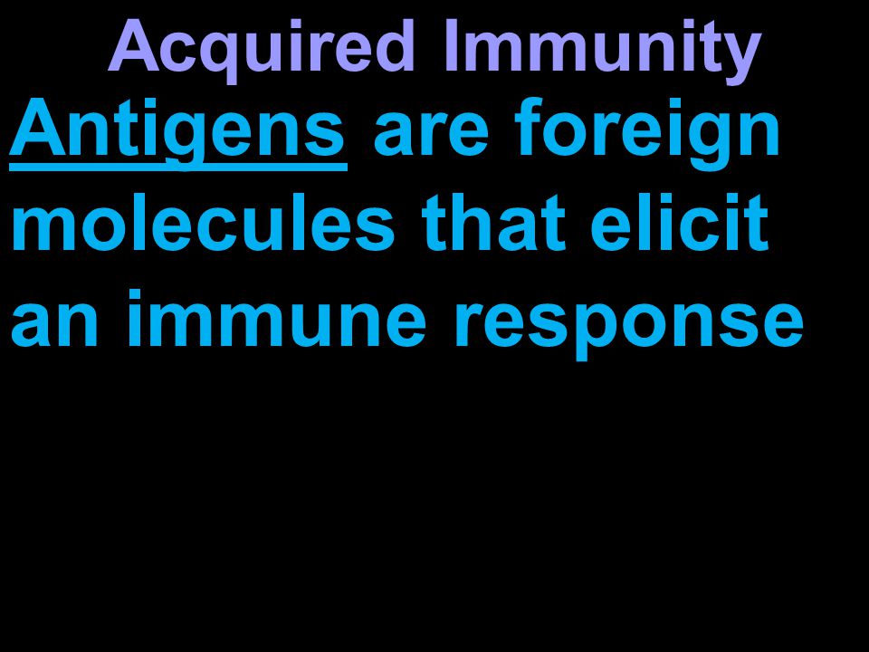 Antigens are foreign molecules that elicit an immune response Acquired Immunity