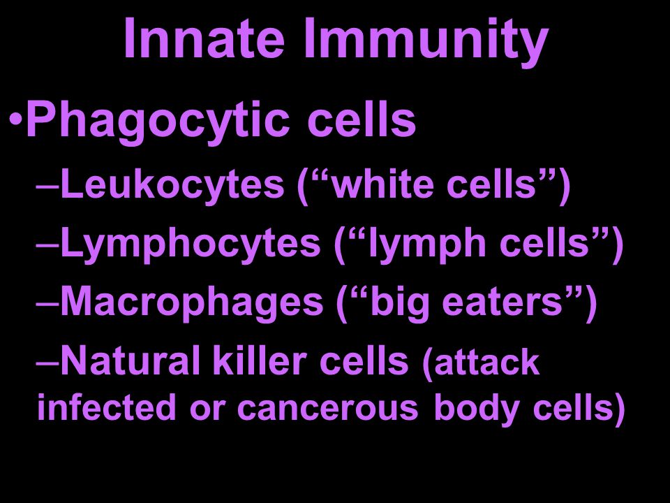 Innate Immunity Phagocytic cells –Leukocytes ( white cells ) –Lymphocytes ( lymph cells ) –Macrophages ( big eaters ) –Natural killer cells (attack infected or cancerous body cells)