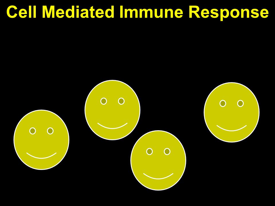 Cell Mediated Immune Response