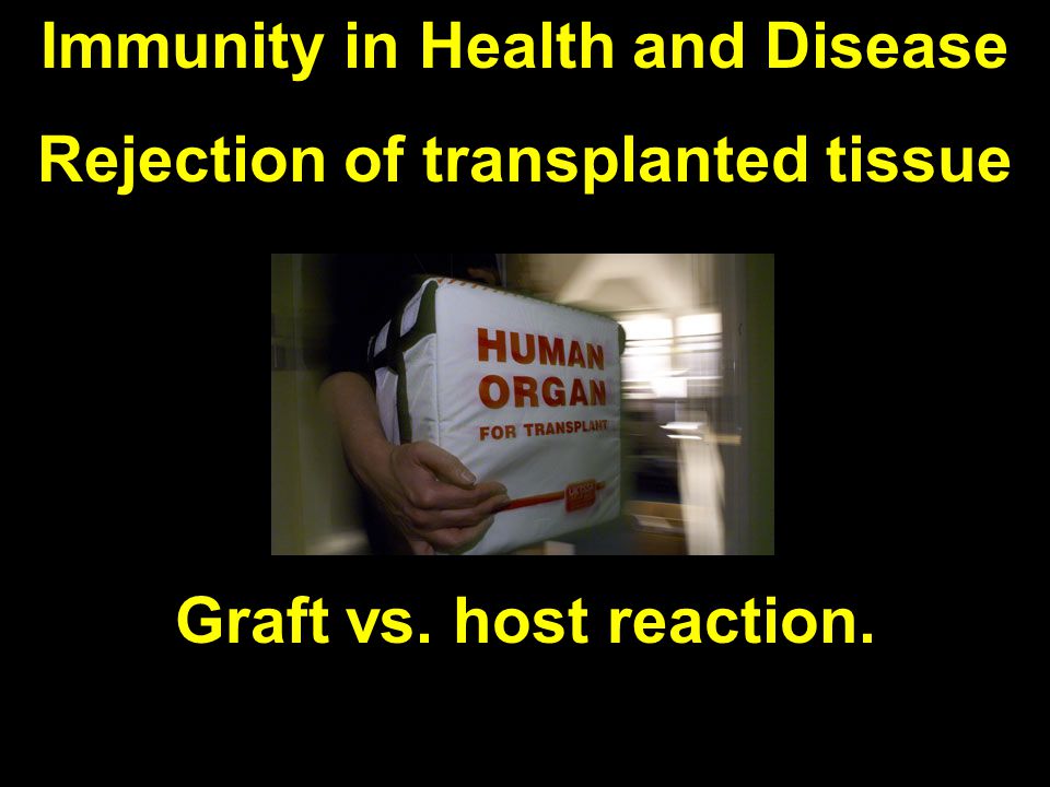 Immunity in Health and Disease Rejection of transplanted tissue Graft vs. host reaction.