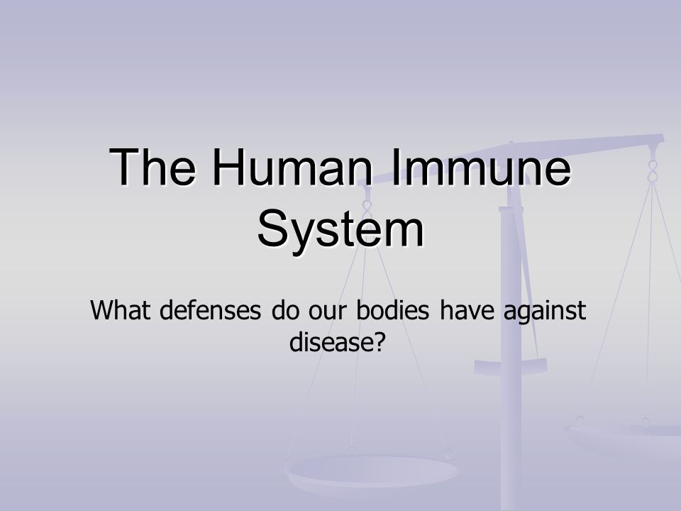 The Human Immune System What defenses do our bodies have against disease