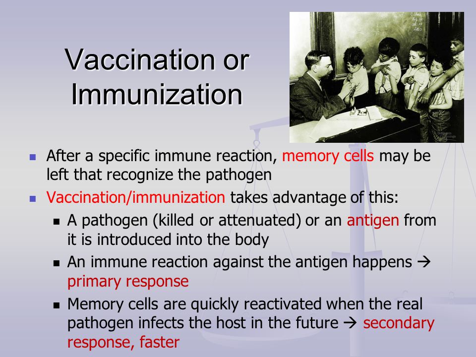 Vaccination or Immunization After a specific immune reaction, memory cells may be left that recognize the pathogen Vaccination/immunization takes advantage of this: A pathogen (killed or attenuated) or an antigen from it is introduced into the body An immune reaction against the antigen happens  primary response Memory cells are quickly reactivated when the real pathogen infects the host in the future  secondary response, faster