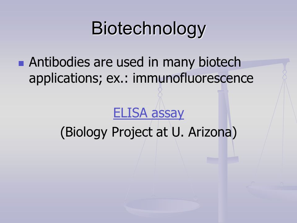 Biotechnology Antibodies are used in many biotech applications; ex.: immunofluorescence ELISA assay (Biology Project at U.