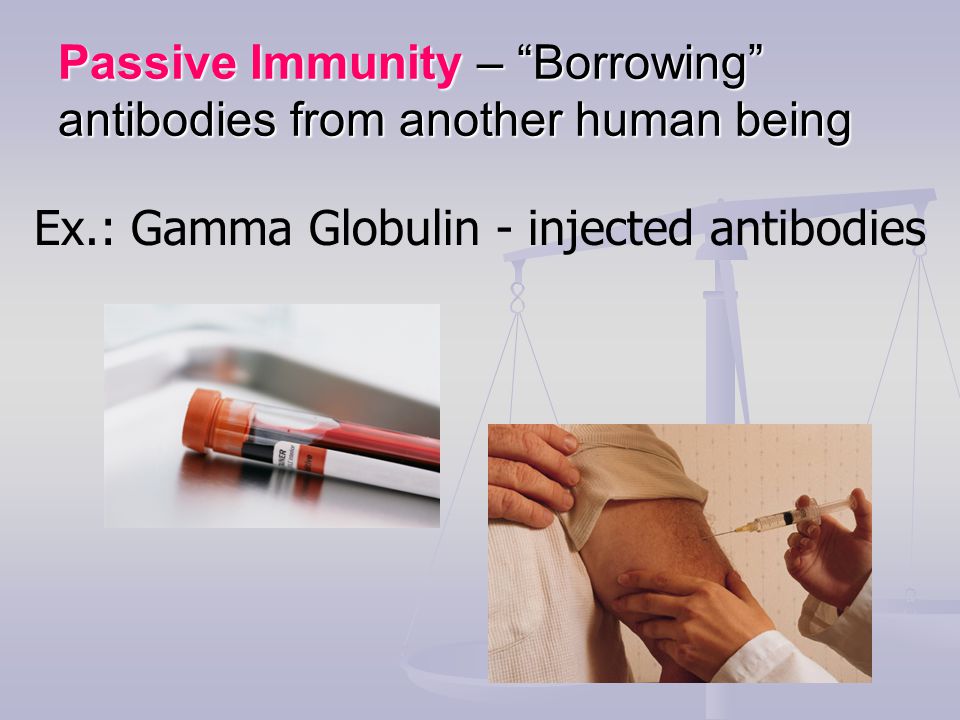 Passive Immunity – Borrowing antibodies from another human being Ex.: Gamma Globulin - injected antibodies
