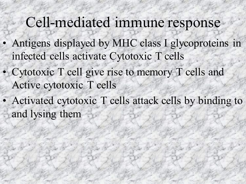 Cell-mediated immune response Antigens displayed by MHC class I glycoproteins in infected cells activate Cytotoxic T cells Cytotoxic T cell give rise to memory T cells and Active cytotoxic T cells Activated cytotoxic T cells attack cells by binding to and lysing them