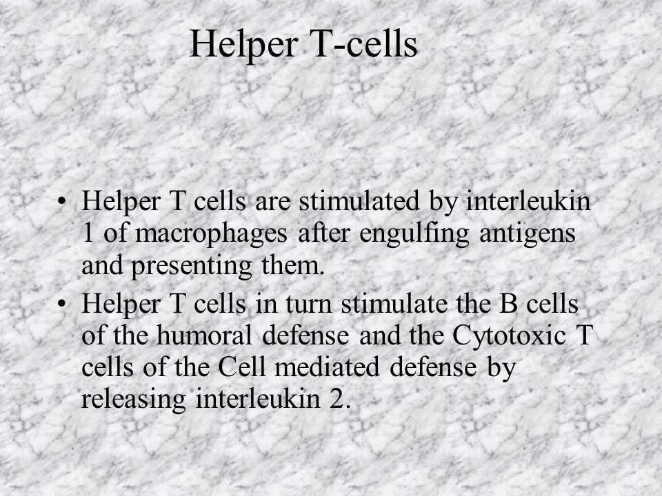 Helper T-cells Helper T cells are stimulated by interleukin 1 of macrophages after engulfing antigens and presenting them.