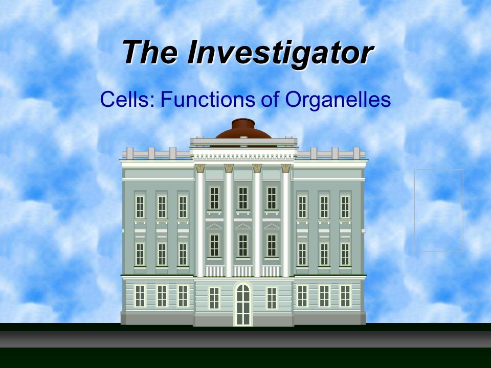The Investigator Cells: Functions of Organelles