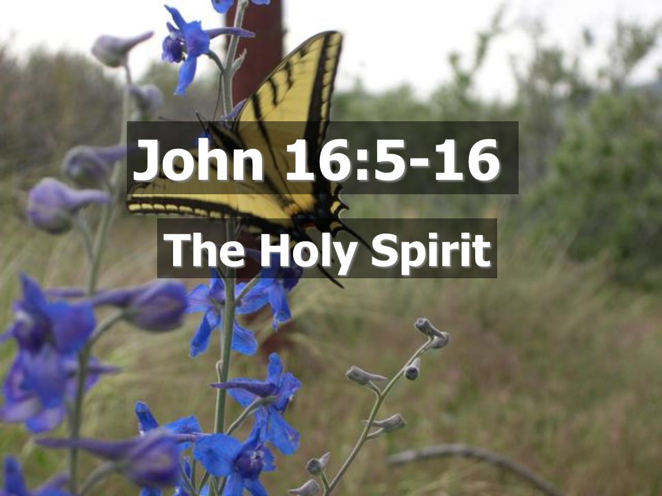 John 16:5-16 The Holy Spirit