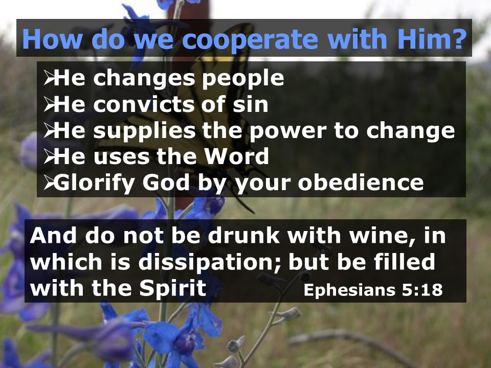  He changes people  He convicts of sin  He supplies the power to change  He uses the Word  Glorify God by your obedience How do we cooperate with Him.