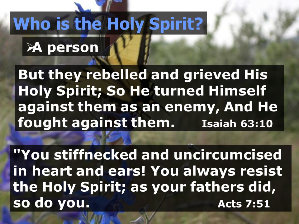  A person Who is the Holy Spirit.