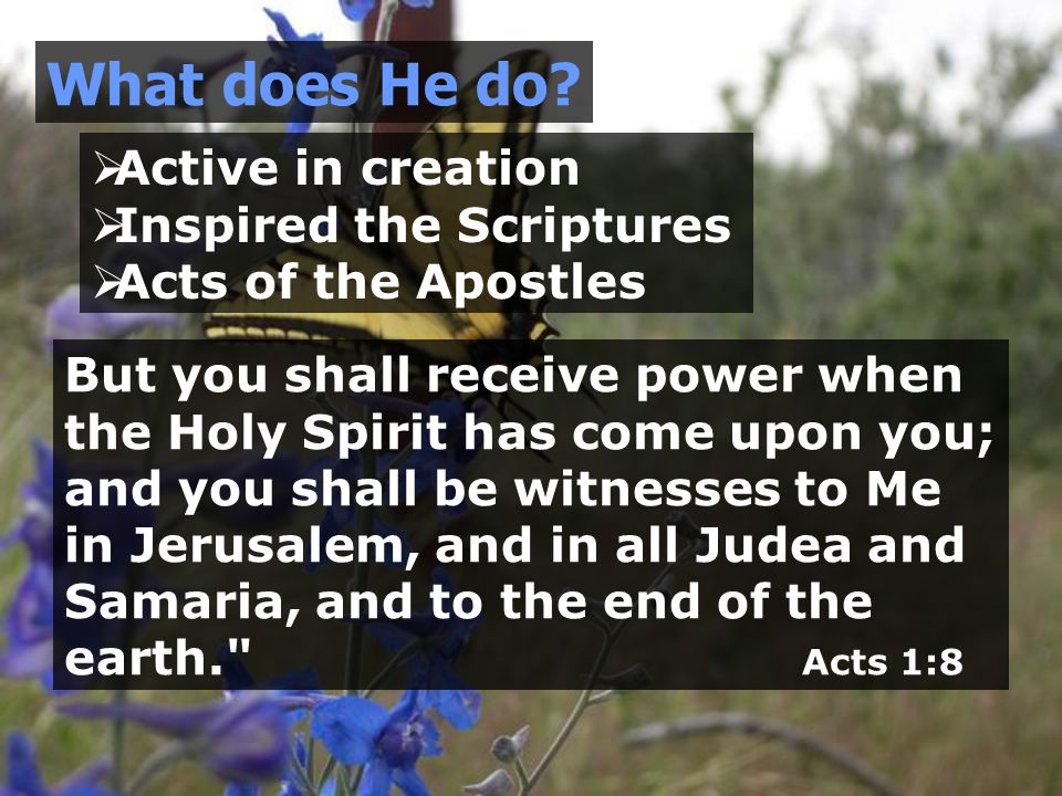  Active in creation  Inspired the Scriptures  Acts of the Apostles What does He do.