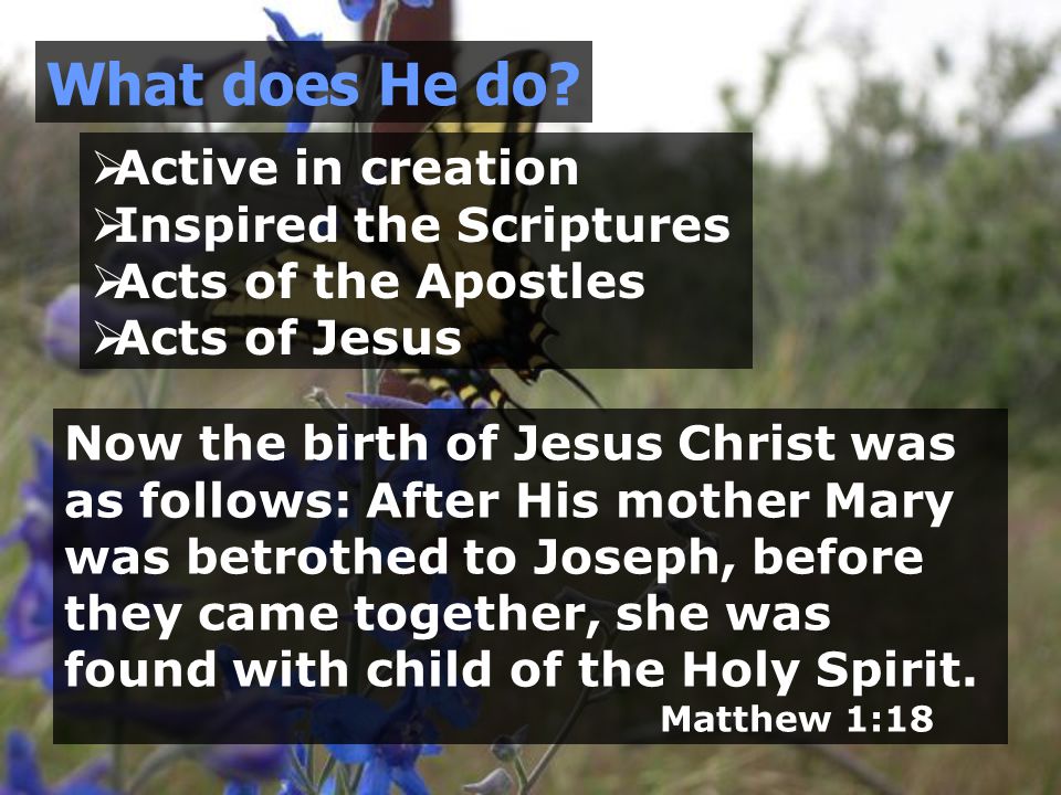 Active in creation  Inspired the Scriptures  Acts of the Apostles  Acts of Jesus What does He do.