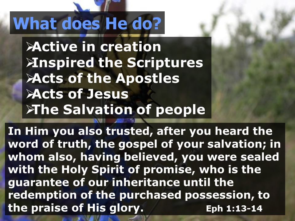  Active in creation  Inspired the Scriptures  Acts of the Apostles  Acts of Jesus  The Salvation of people What does He do.