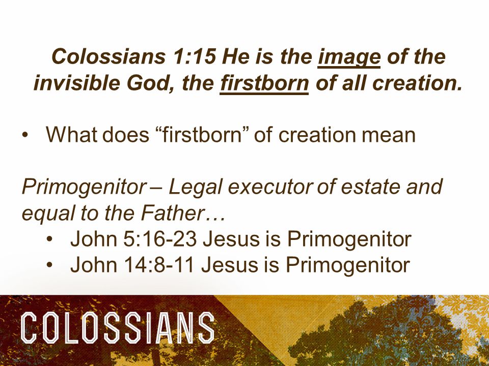 Colossians 1:15 He is the image of the invisible God, the firstborn of all creation.