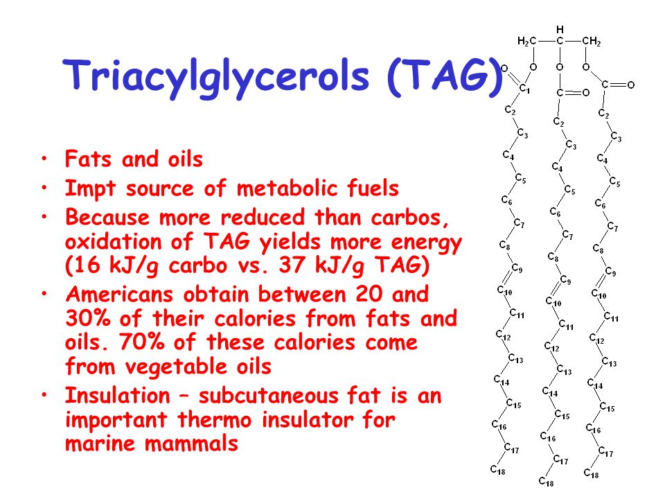 Chapter 9 (part 2) Lipids and Membranes. Triacylglycerols (TAG) Fats and  oils Impt source of metabolic fuels Because more reduced than carbos,  oxidation. - ppt download