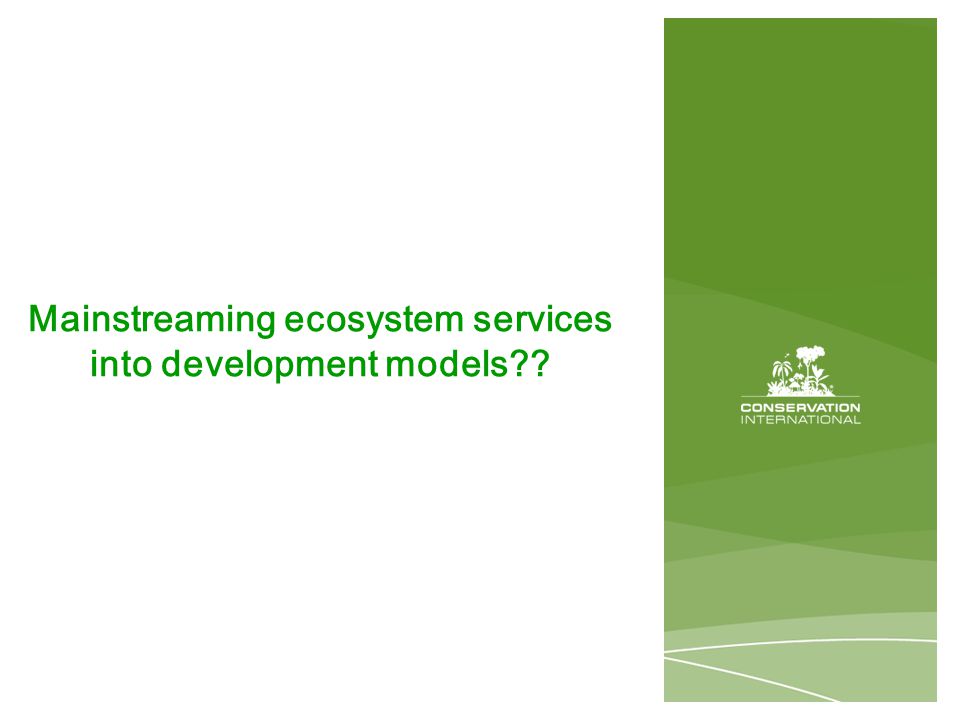 Mainstreaming ecosystem services into development models