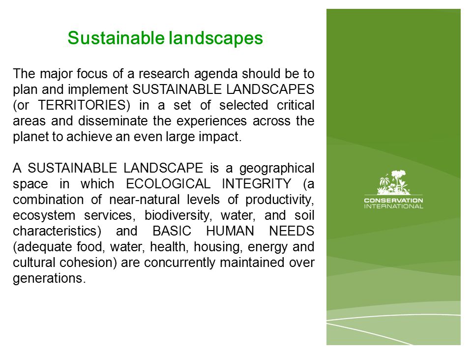 Sustainable landscapes The major focus of a research agenda should be to plan and implement SUSTAINABLE LANDSCAPES (or TERRITORIES) in a set of selected critical areas and disseminate the experiences across the planet to achieve an even large impact.