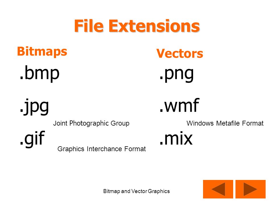 Bitmap And Vector Graphics Bitmap Graphics Photos Scanned Images Bitmap And Vector Graphics Bitmap Graphics Photos Scanned Images