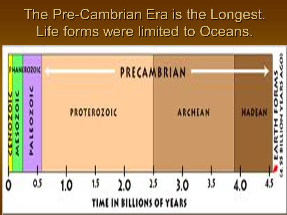 The Earth is 4.6 Billion years old This has been broken down into 4 major time  periods (Eras). This has been broken down into 4 major time periods (Eras).  - ppt download