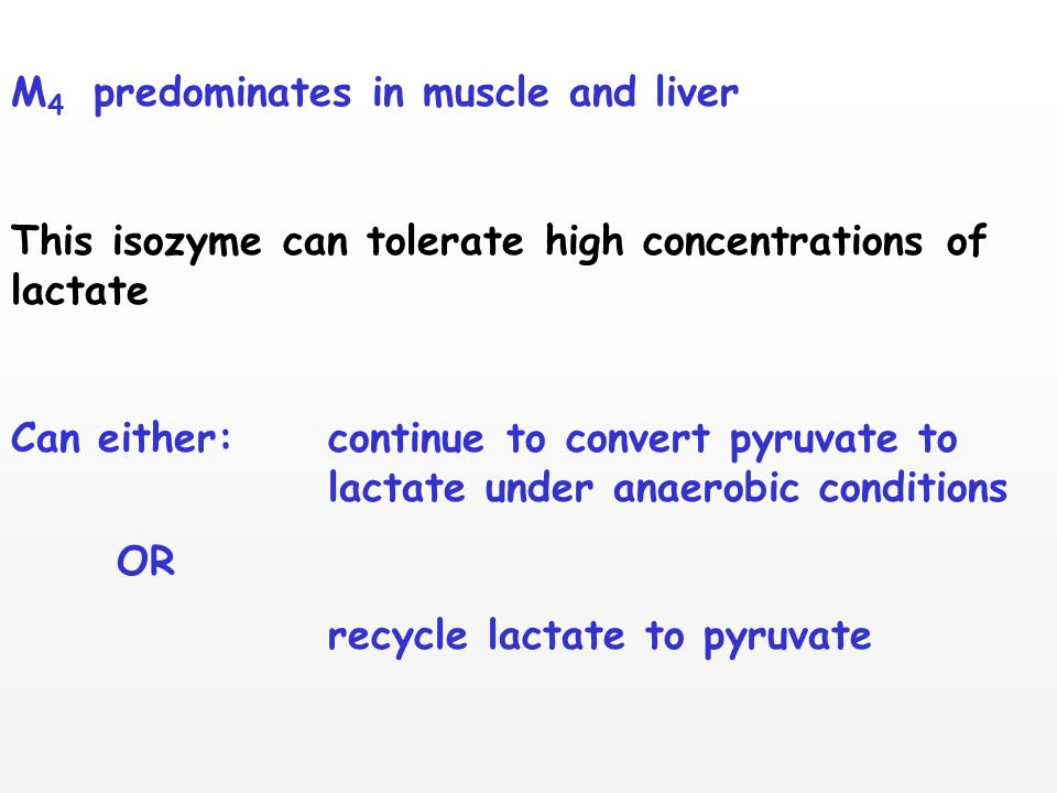 lactate dehydrogenase subunits