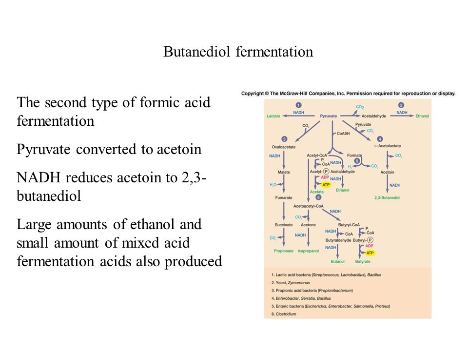 Fermentations NADH must be oxidized to NAD + in order to oxidize  glyceraldehyde-3-P In the absence of an electron transport chain pyruvate  or a derivative. - ppt download