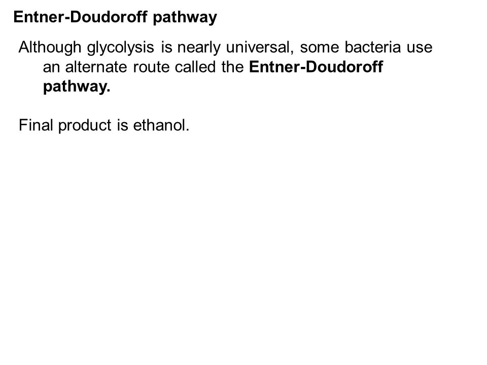 Entner-Doudoroff pathway Although glycolysis is nearly universal, some bacteria use an alternate route called the Entner-Doudoroff pathway.