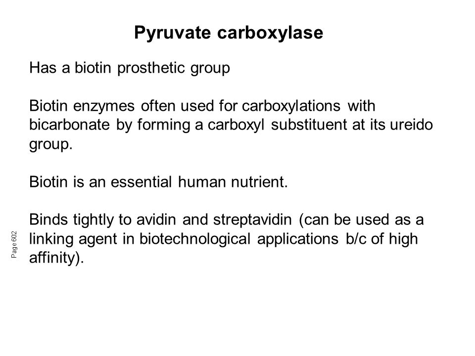 Pyruvate carboxylase Page 602 Has a biotin prosthetic group Biotin enzymes often used for carboxylations with bicarbonate by forming a carboxyl substituent at its ureido group.