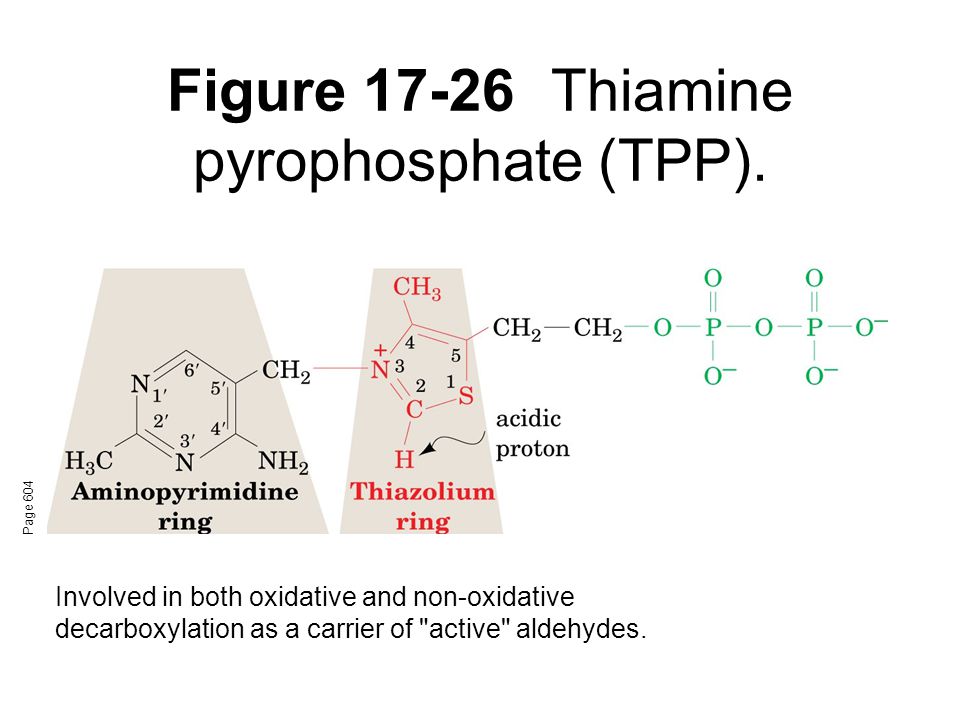 Figure 17-26Thiamine pyrophosphate (TPP).