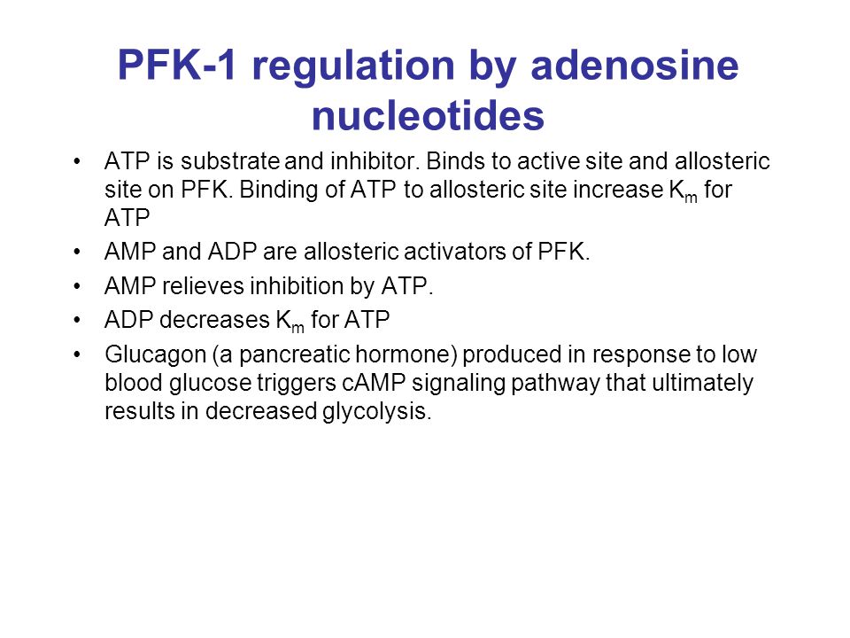 PFK-1 regulation by adenosine nucleotides ATP is substrate and inhibitor.