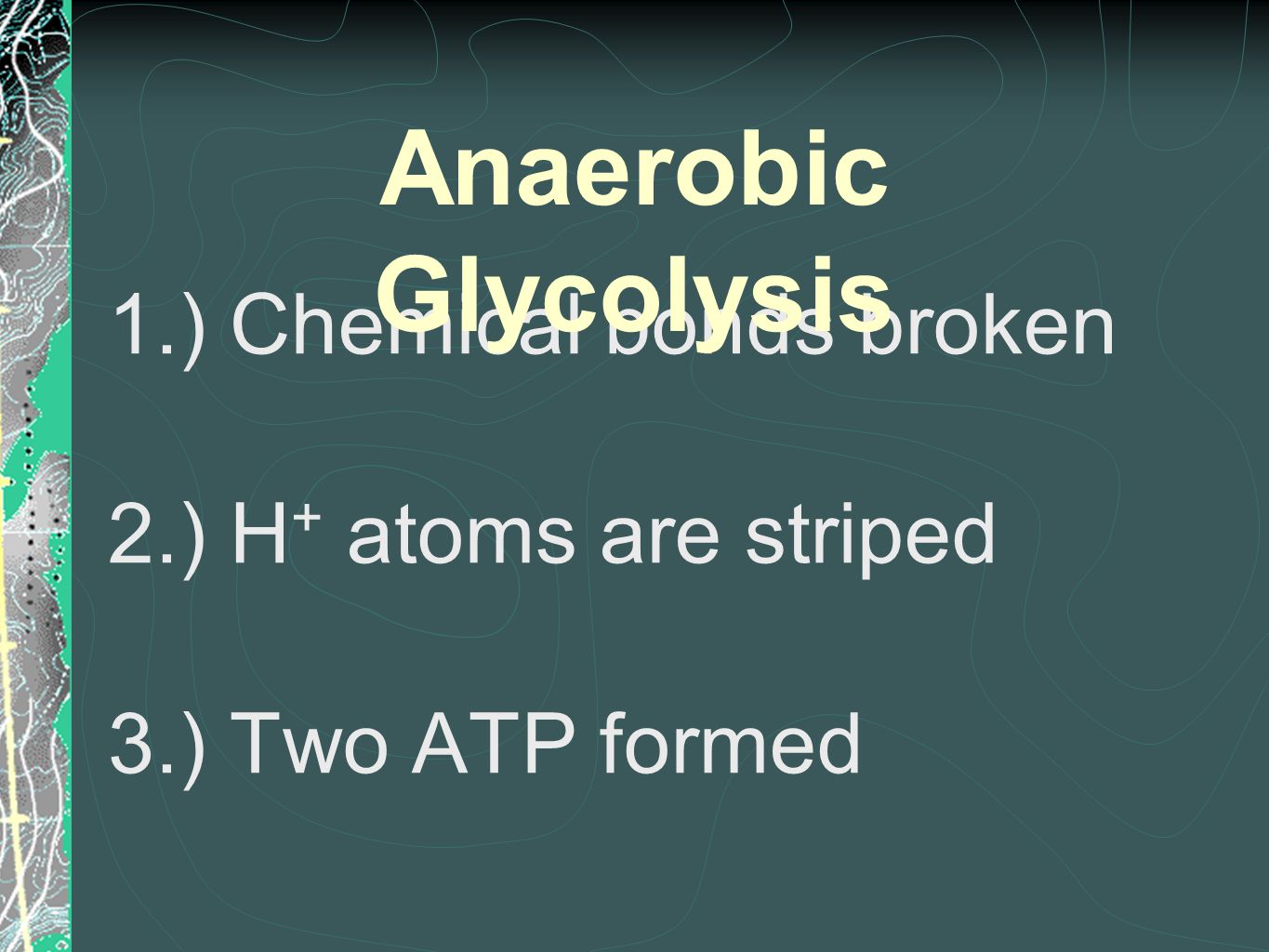 1.) Chemical bonds broken 2.) H + atoms are striped 3.) Two ATP formed Anaerobic Glycolysis