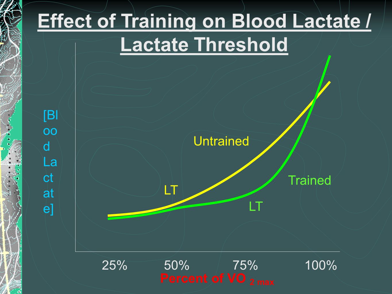 Percent of VO 2 max 25%50%75%100% [Bl oo d La ct at e] Untrained Trained Effect of Training on Blood Lactate / Lactate Threshold LT