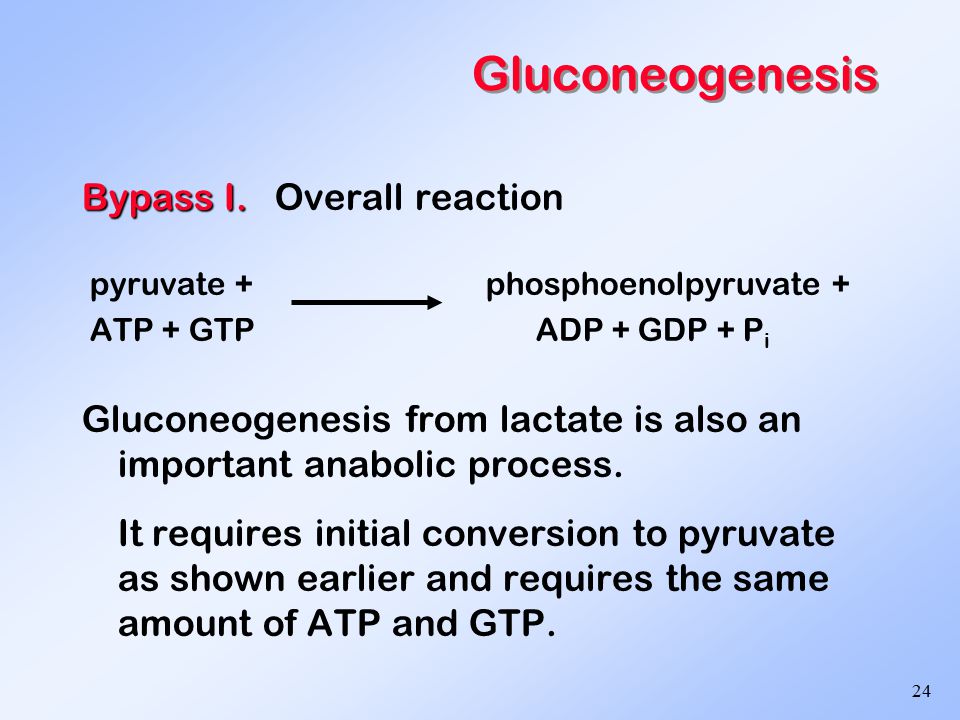 1 Metabolism of Carbohydrates The Energy Metabolism of Glucose ...