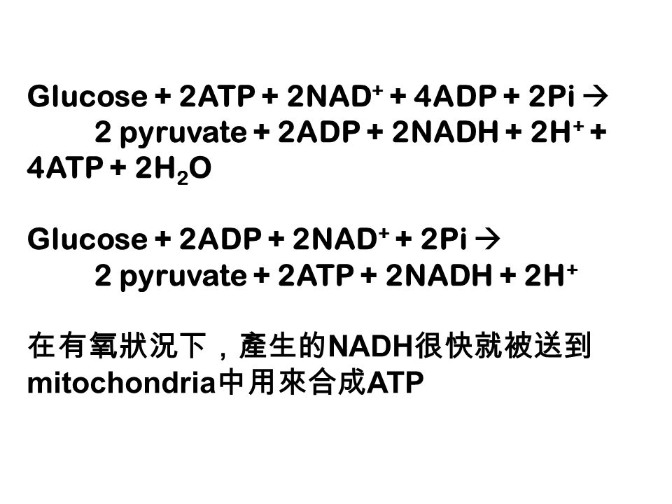 Glucose + 2ATP + 2NAD + + 4ADP + 2Pi  2 pyruvate + 2ADP + 2NADH + 2H + + 4ATP + 2H 2 O Glucose + 2ADP + 2NAD + + 2Pi  2 pyruvate + 2ATP + 2NADH + 2H + 在有氧狀況下，產生的 NADH 很快就被送到 mitochondria 中用來合成 ATP