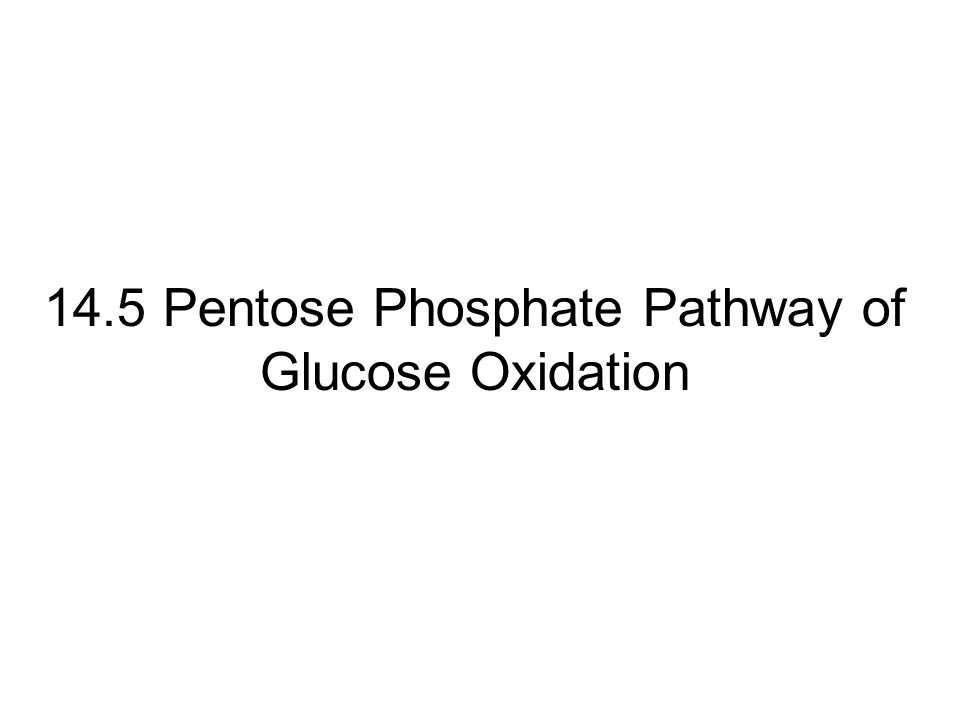 14.5 Pentose Phosphate Pathway of Glucose Oxidation