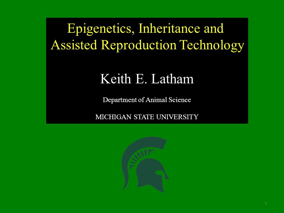 Epigenetics, Inheritance and Assisted Reproduction Technology Keith E.