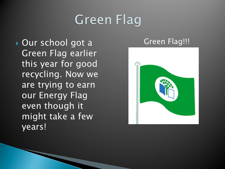  Our school got a Green Flag earlier this year for good recycling.