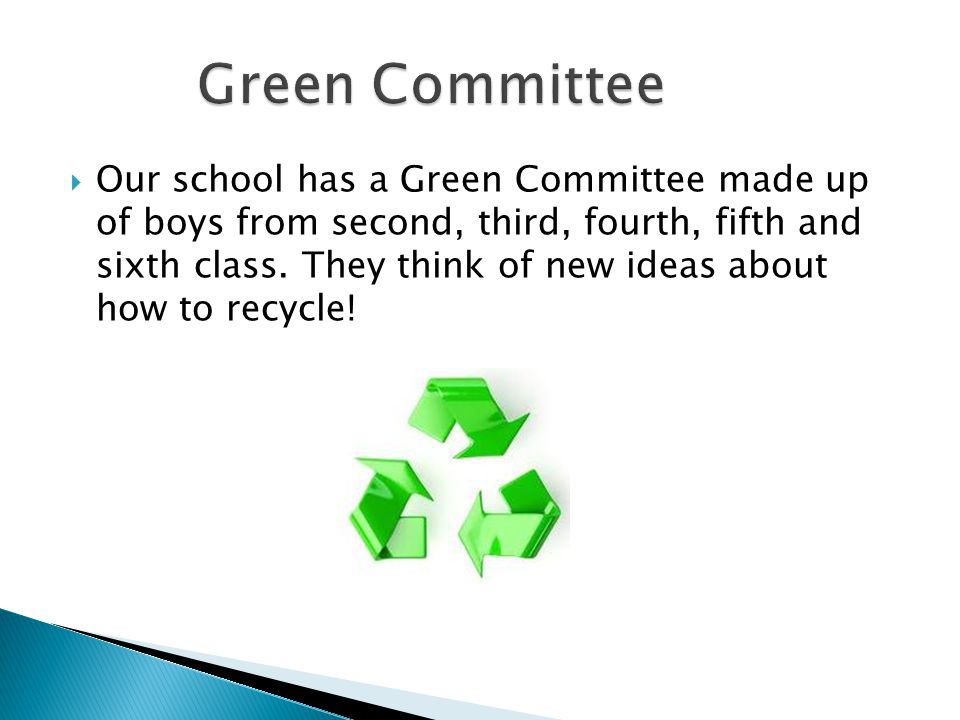  Our school has a Green Committee made up of boys from second, third, fourth, fifth and sixth class.