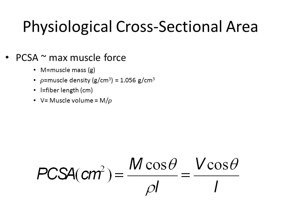 Muscle Skeletal muscle – Unit Cell Structure – Architecture Series/parallel  Force/velocity – Stimulation Summation/tetanus/rate-coding – Muscle  mechanics. - ppt download