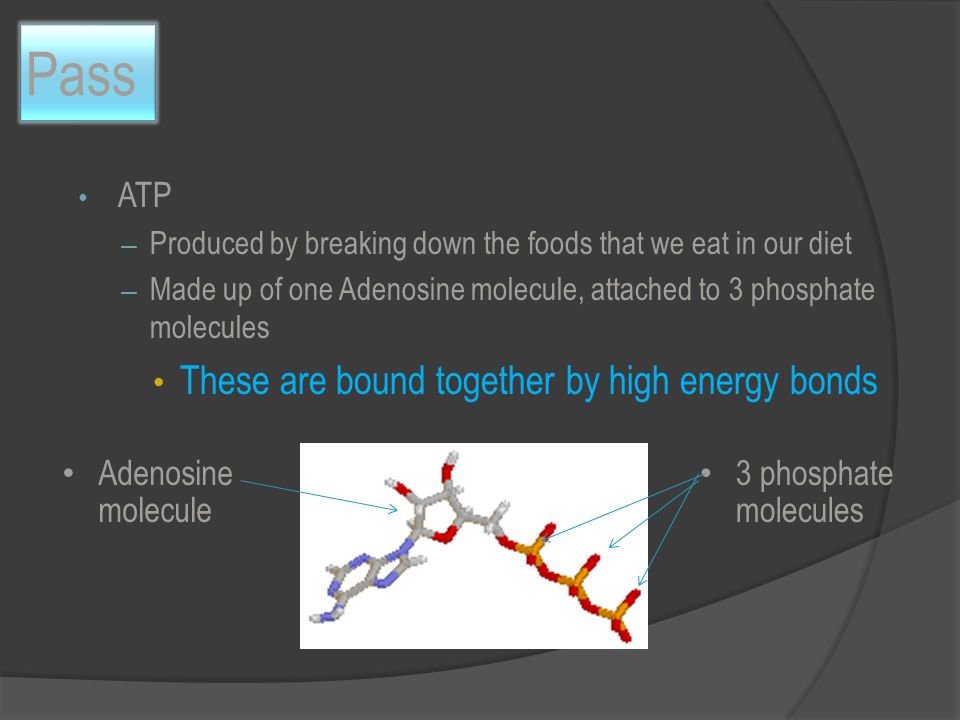 Pass ATP – Produced by breaking down the foods that we eat in our diet – Made up of one Adenosine molecule, attached to 3 phosphate molecules These are bound together by high energy bonds 3 phosphate molecules Adenosine molecule