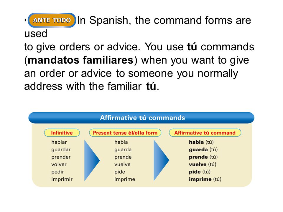 In Spanish, the command forms are used to give orders or advice.