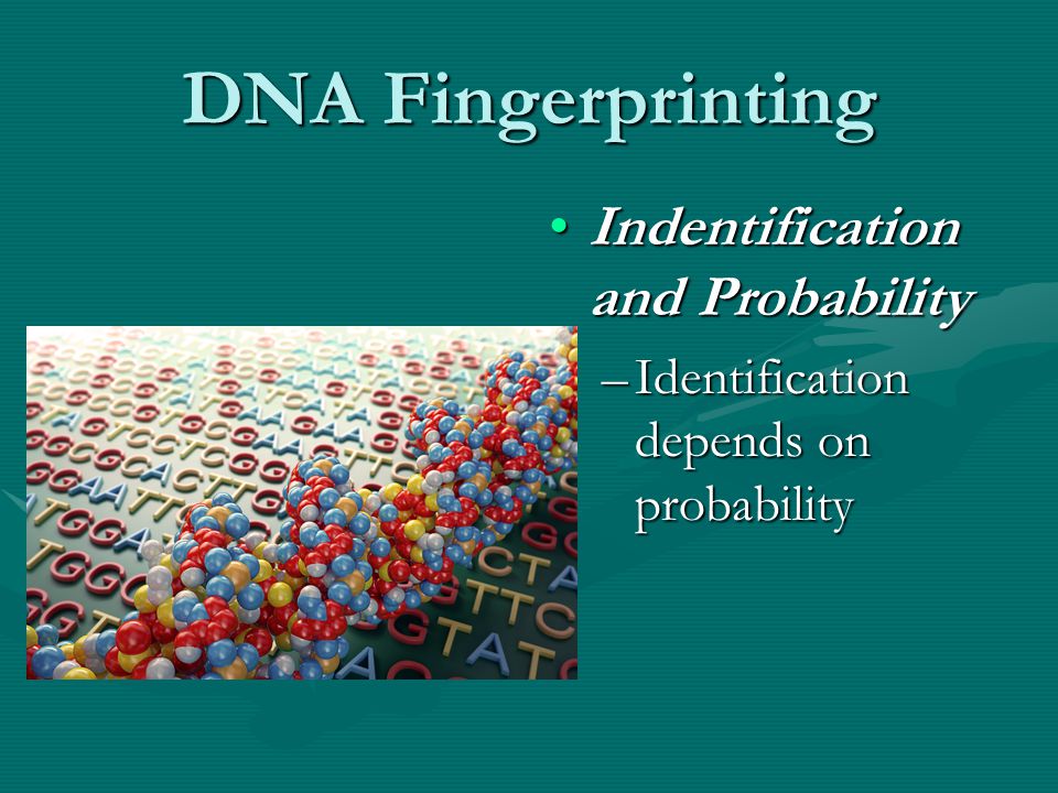 DNA Fingerprinting Indentification and Probability –Identification depends on probability